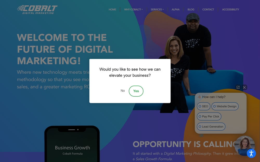 img of B2B Digital Marketing Agency - Cobalt Digital Marketing